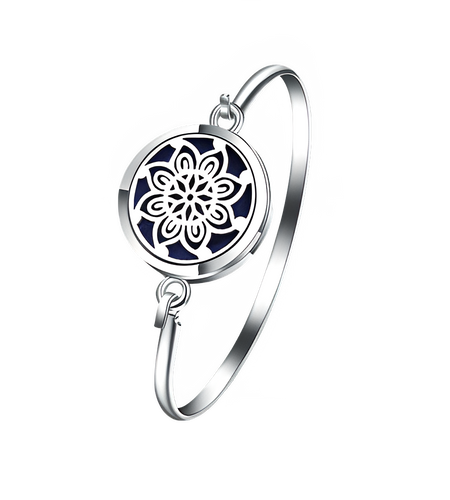 4397ad11-0dab-49f0-b6f5-22fcf5cfc489